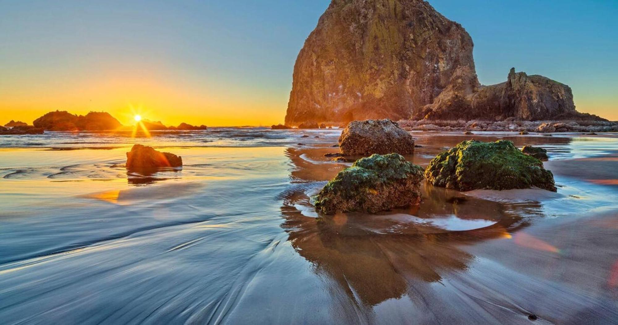 Pacific Northwest Beach House 5G Ev Charger Dog ギアハート エクステリア 写真